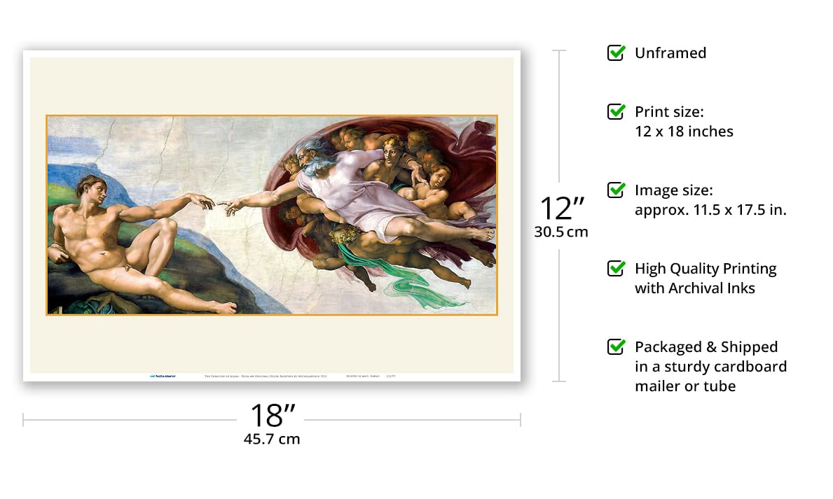Amazon.com: The Creation of Adam (The Creation of Man) - From an
